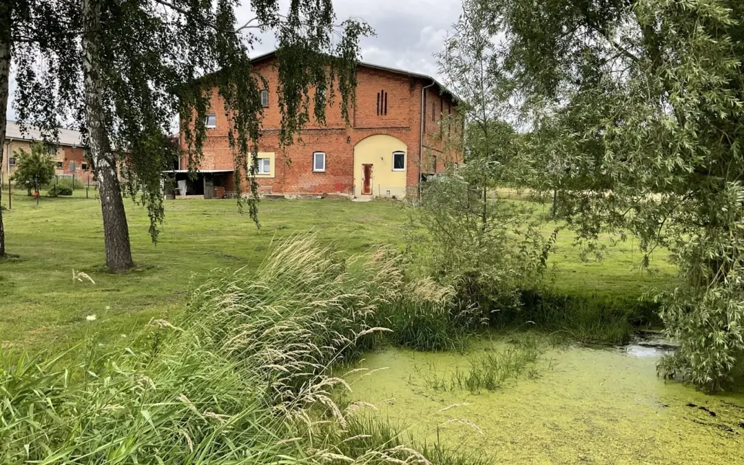 Einfamilienhaus in ländlicher Idylle